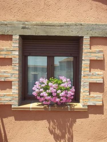Apartamentos Turisticos La Fuensanta Cella Oda fotoğraf